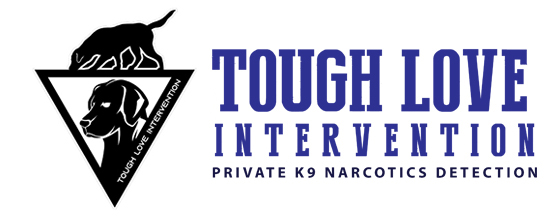 Tough Love Intervention Logo