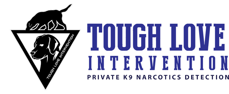 Tough Love Intervention Logo